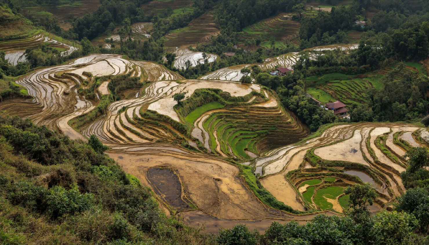 Picturesque Terraced Rice Fields in a Lush Mountain Valley #40190