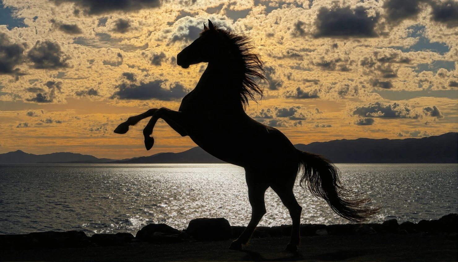 Silhouette of a Horse Rearing Up Against a Sunset #40252