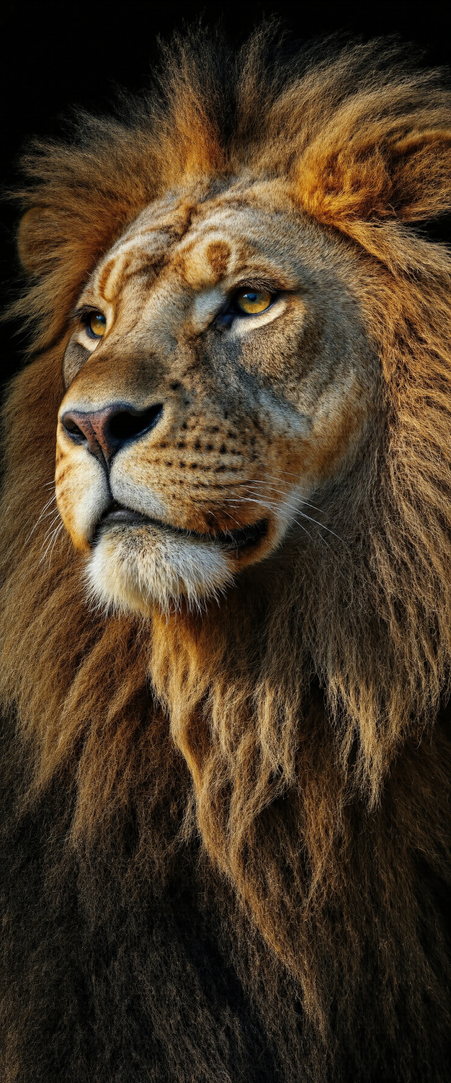 Majestic Lion in Golden Light #40296