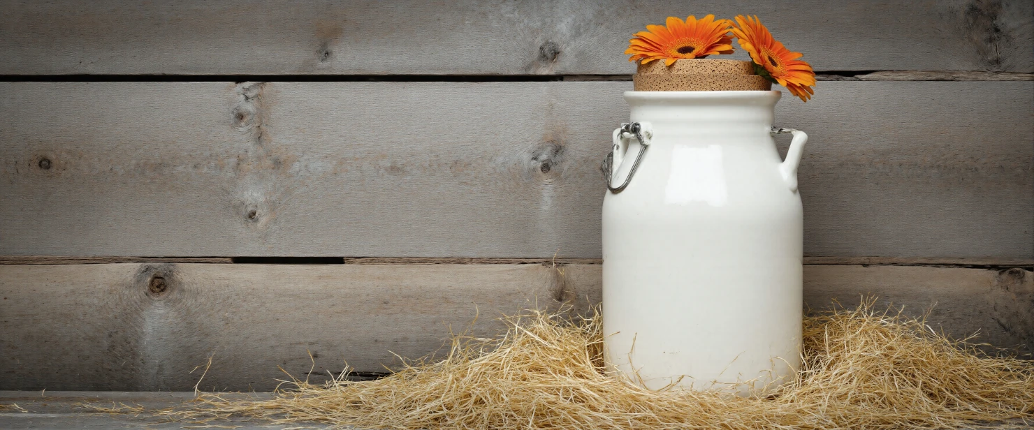 Rustic milk can with orange flowers on straw against wooden wall #40541