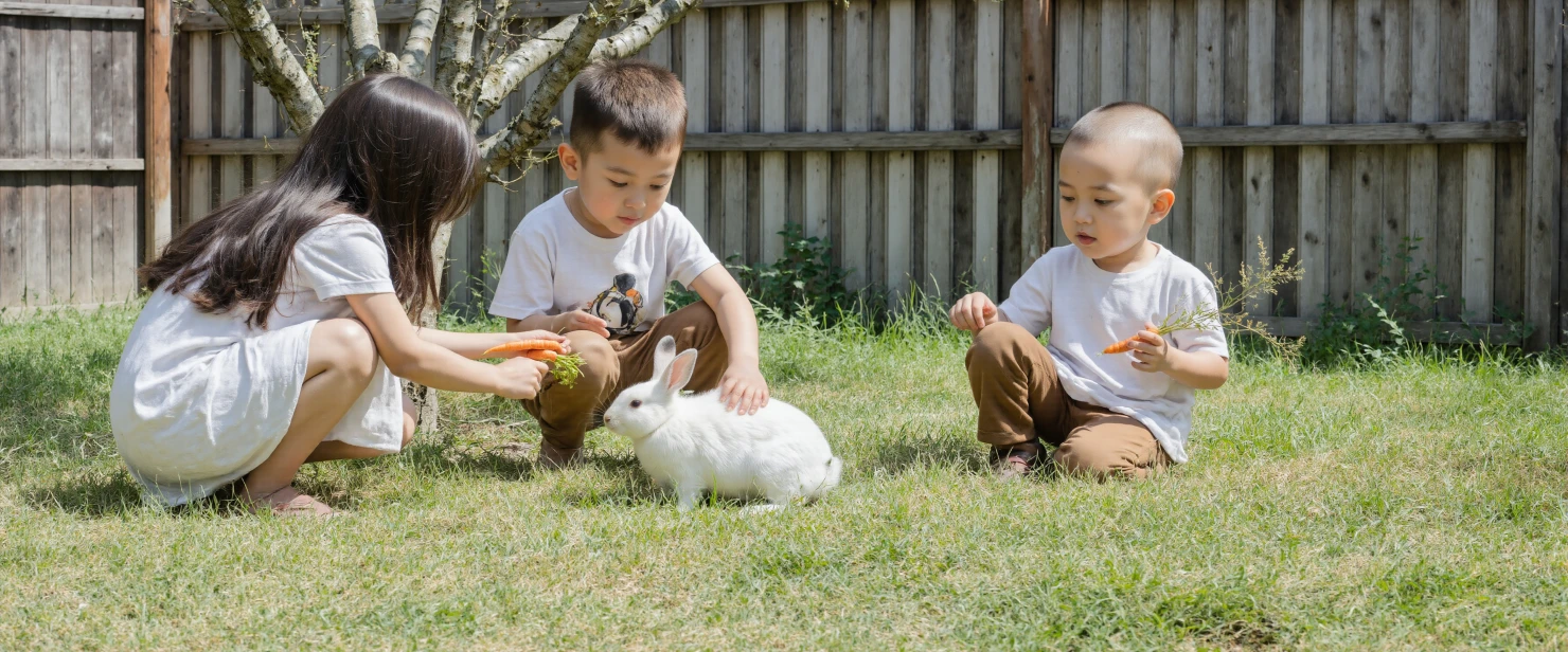 Children feeding a white rabbit in a sunny backyard #40649