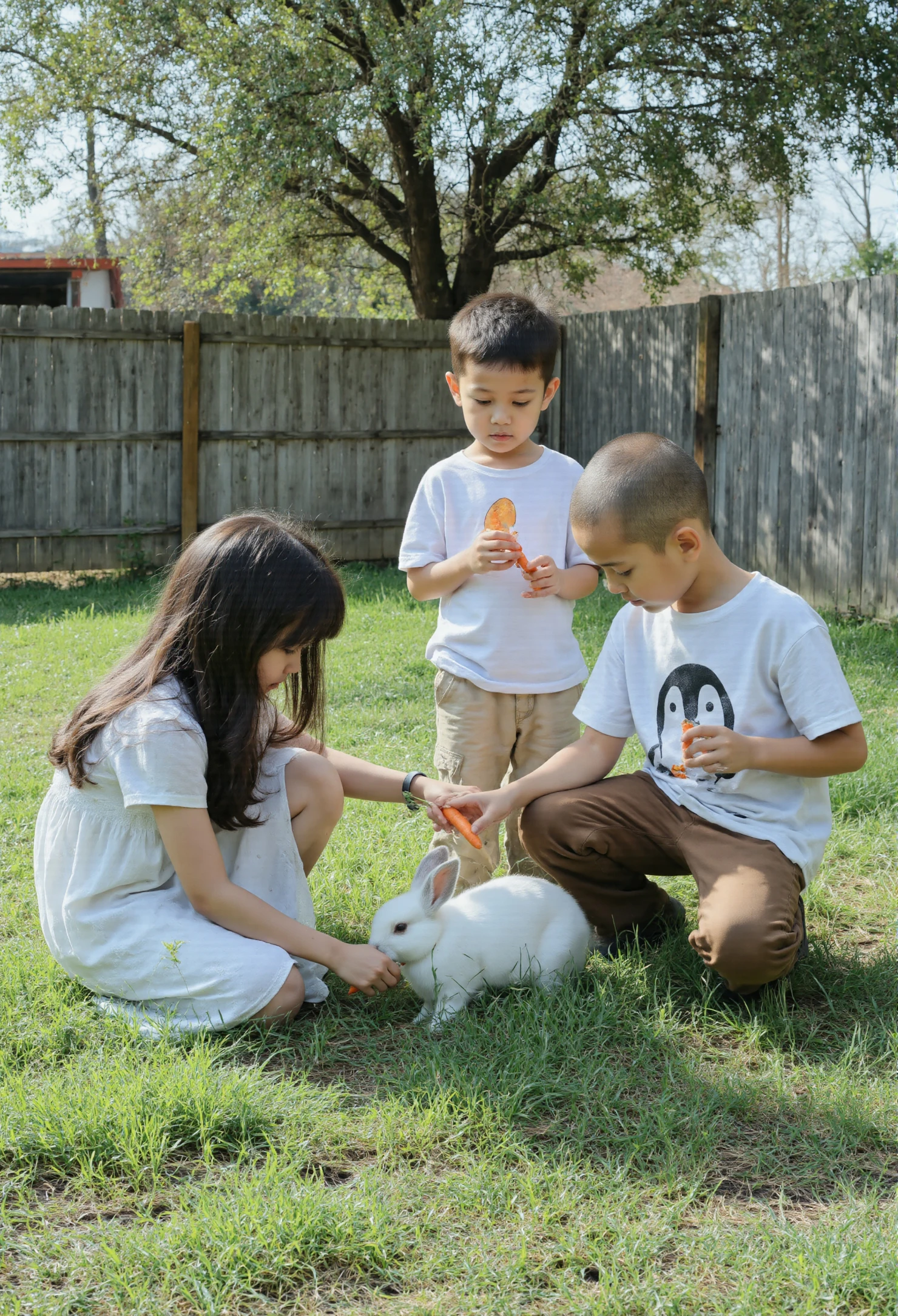 Children feeding a white rabbit in a backyard #40650