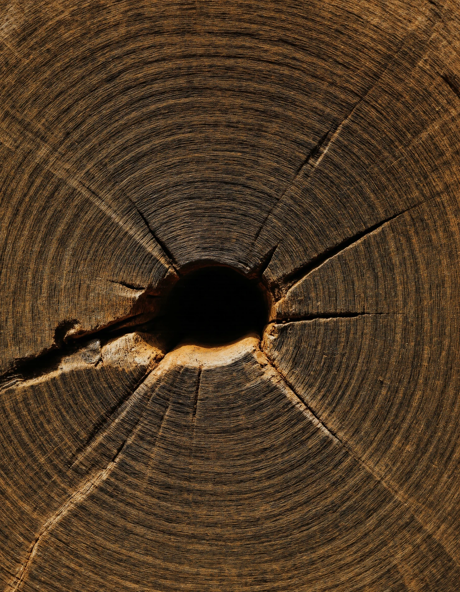 Natural Wood Slice with Cracks and Hole #40704