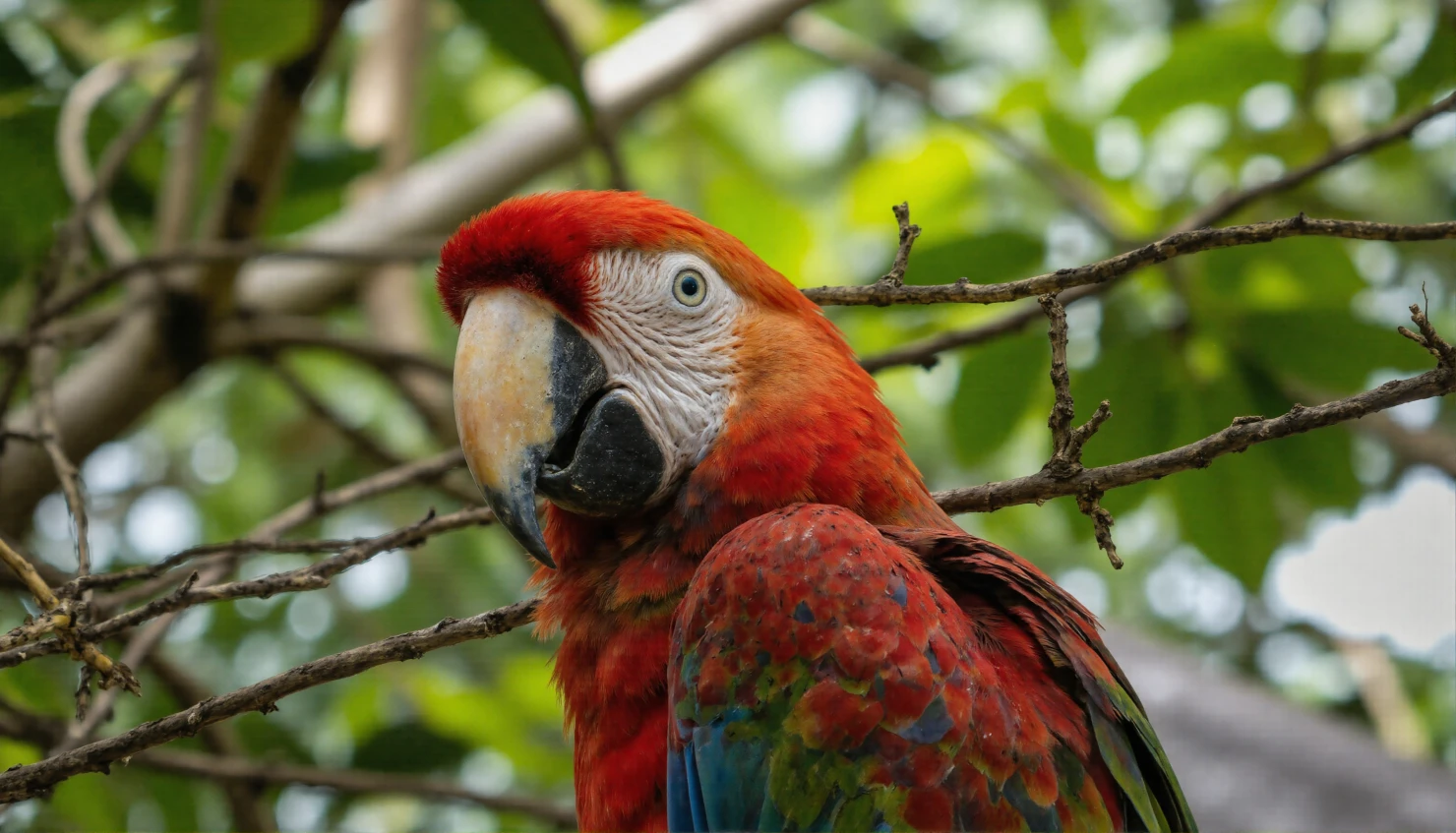 Vibrant Scarlet Macaw Perched in a Tropical Forest #40709