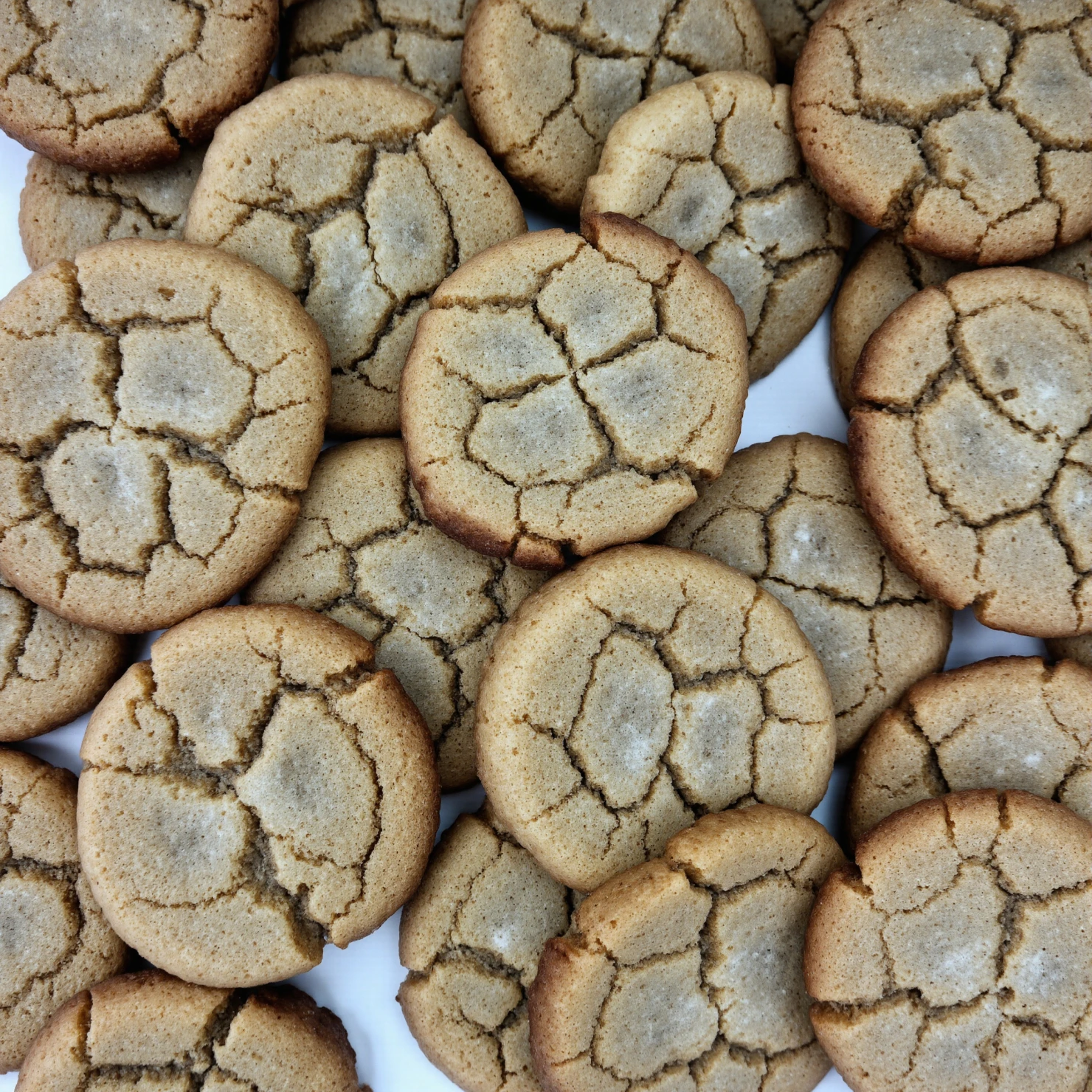 Delicious Crinkled Ginger Snap Cookies #40782