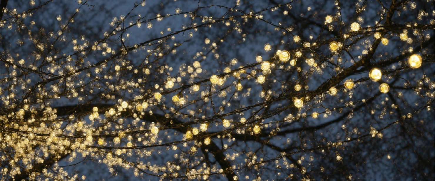 Twinkling Bokeh Lights on Dark Tree Branches at Night #40830