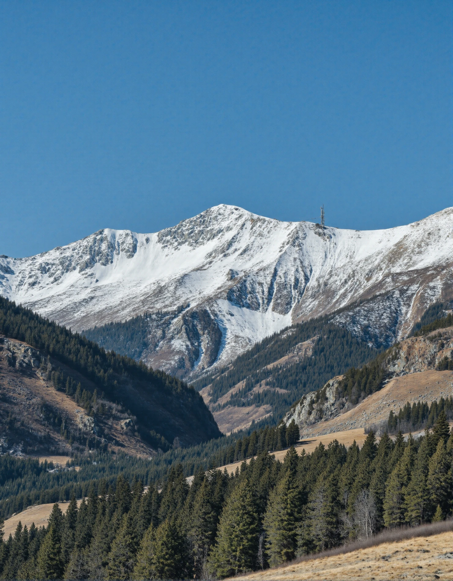 Majestic Snow-Capped Mountain Peak and Forested Valley under Clear Blue Sky #40886