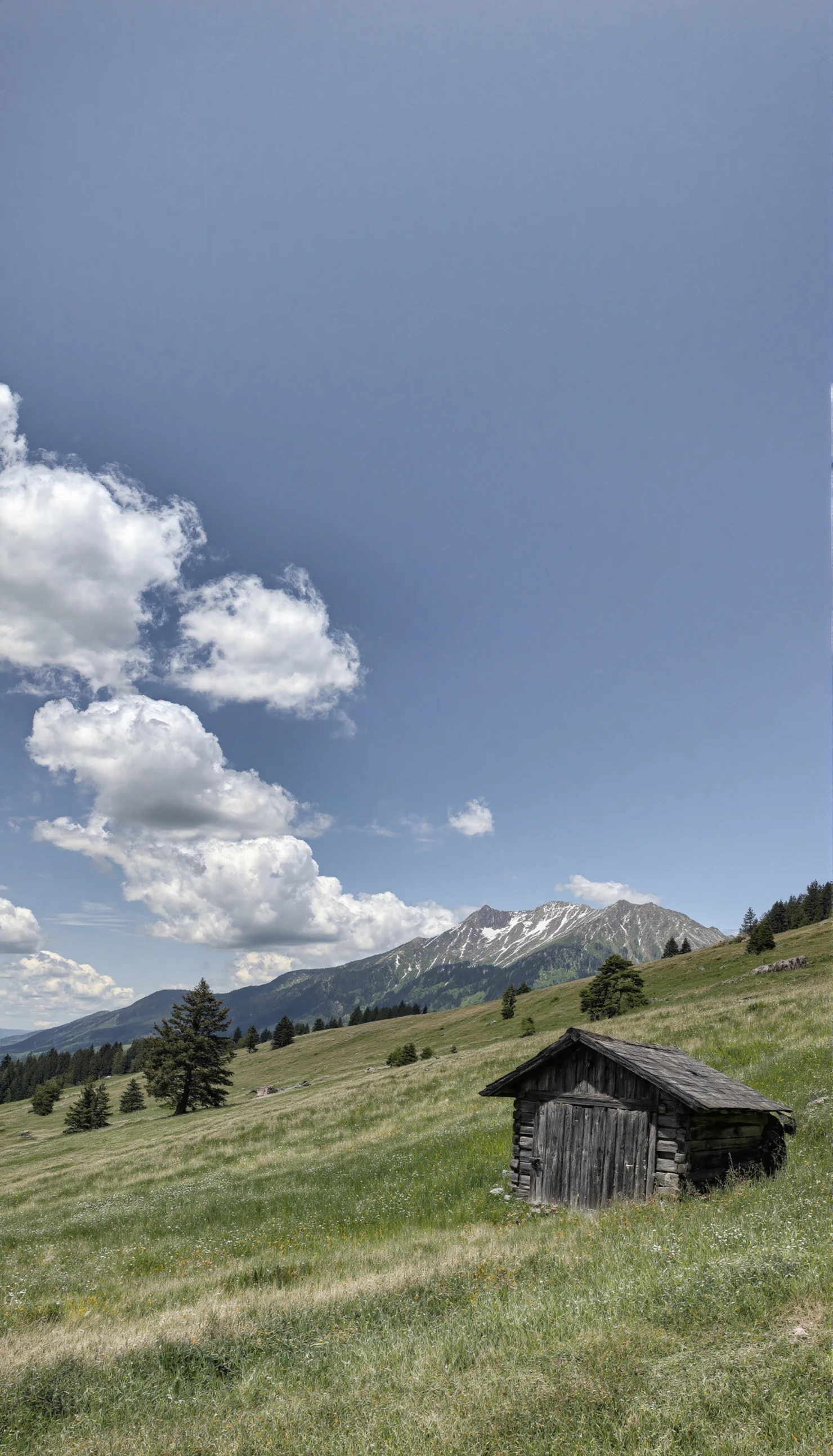 Rustic Mountain Hut in a Serene Alpine Meadow #40887