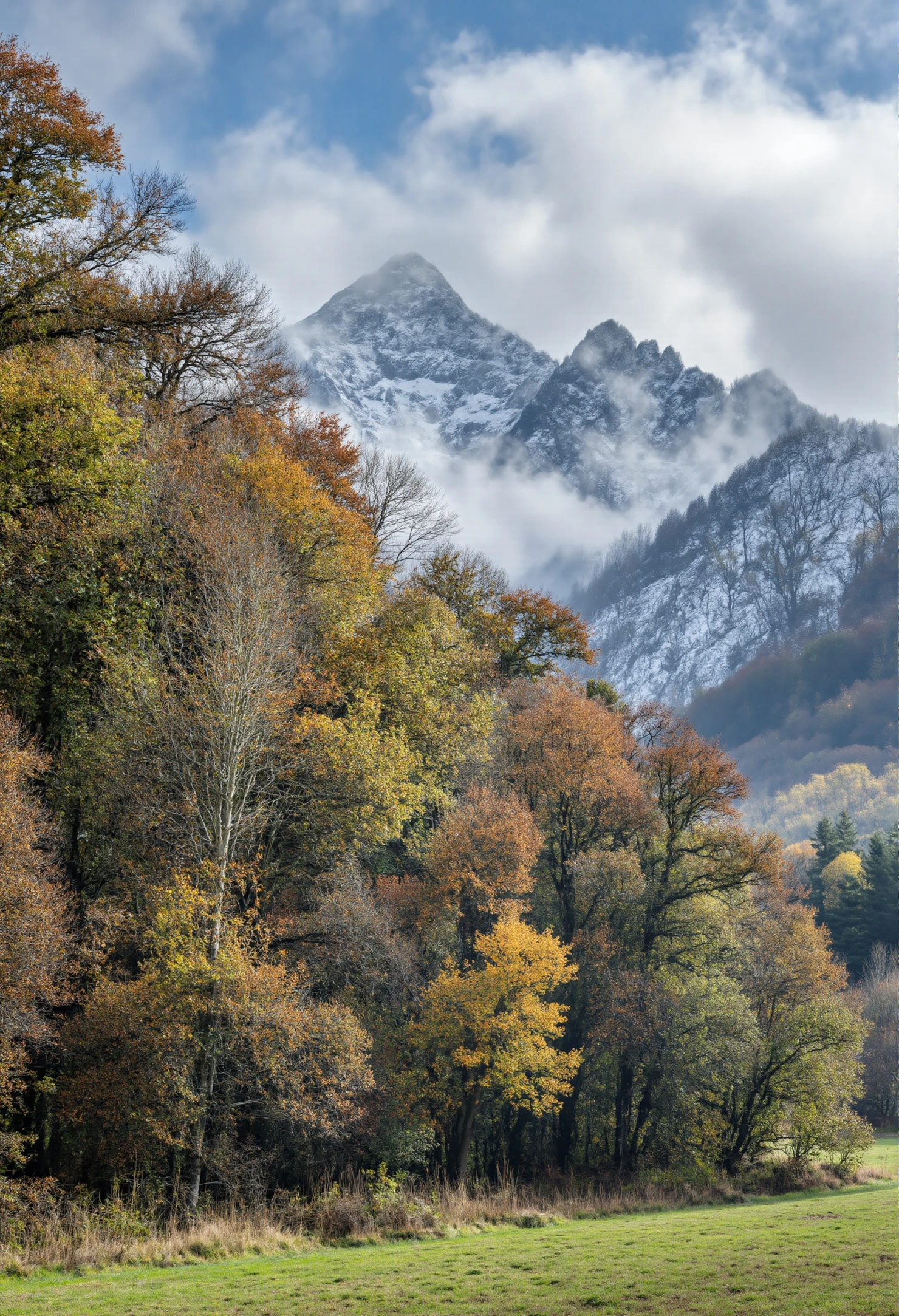 Autumn Forest and Snow-Capped Mountain Landscape #40899