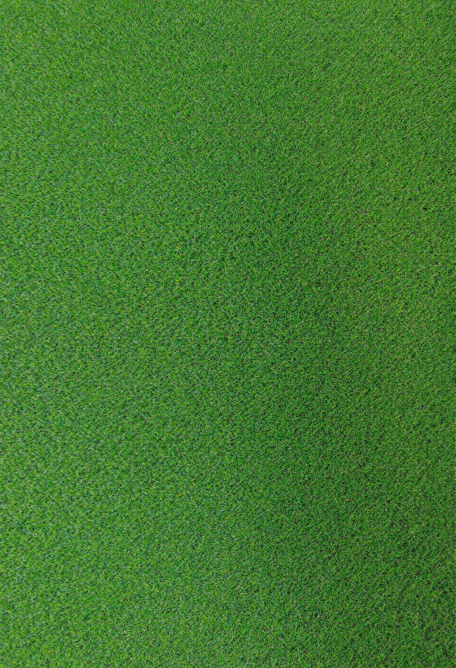 Vibrant Green Felt Texture #40960