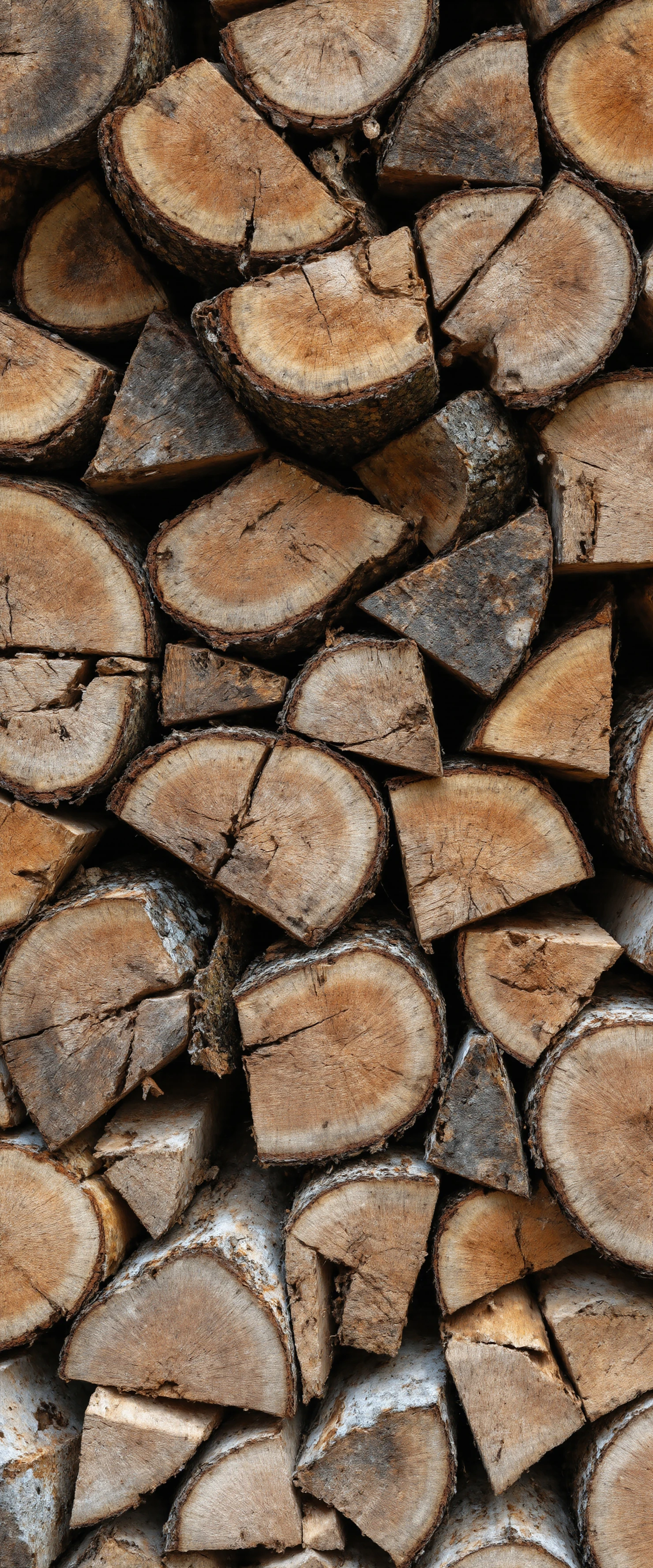 Rustic Stacked Firewood Logs Texture #40980