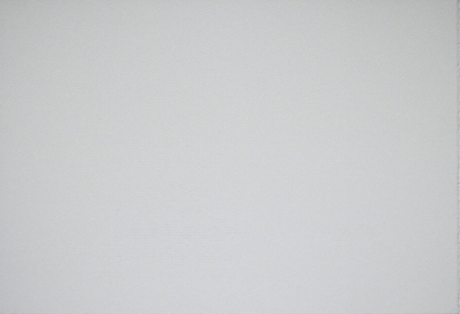 Minimalist Light Gray Background with Faint Horizontal Line #40985