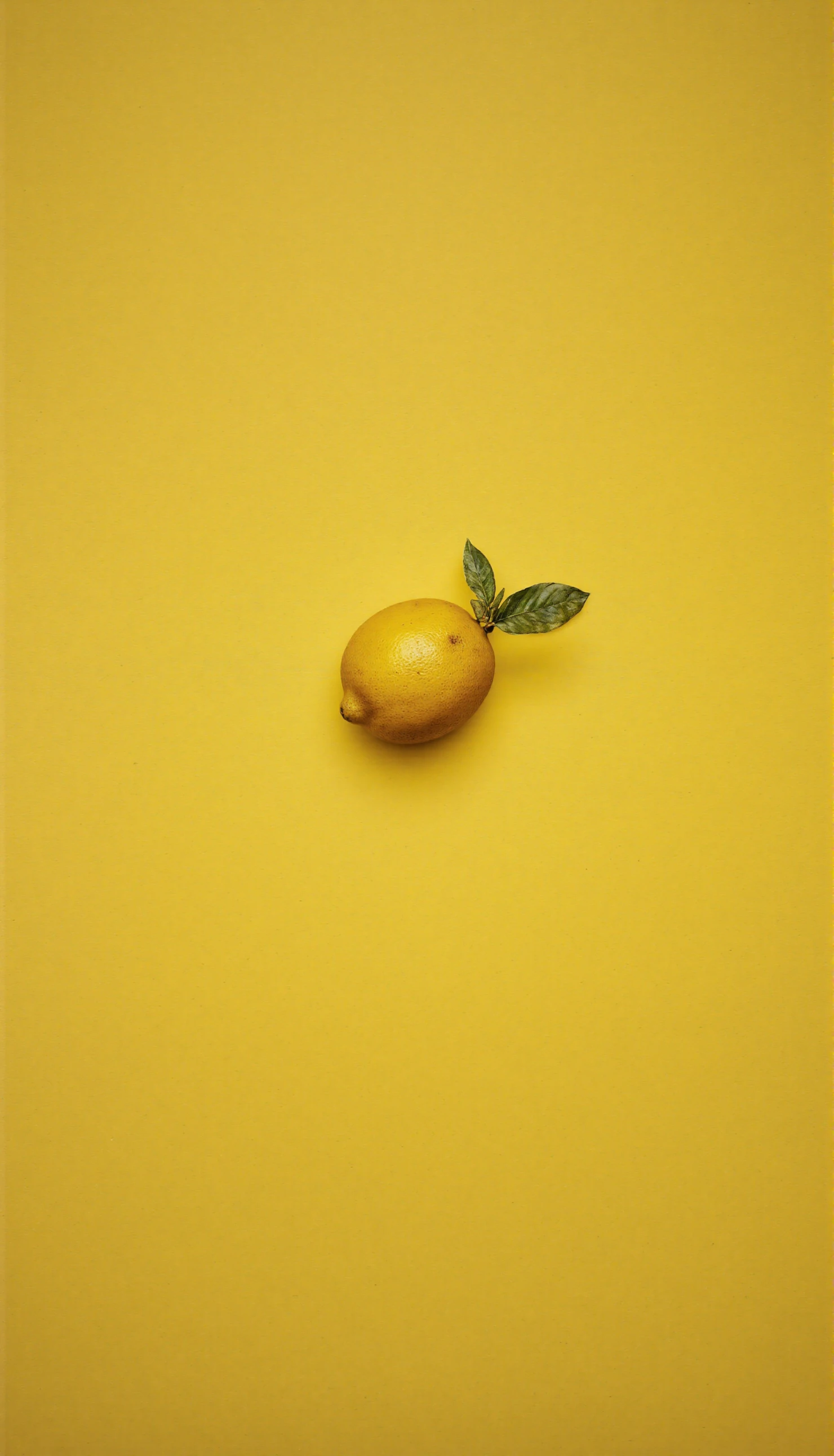 Fresh Lemon with Green Leaves on a Vibrant Yellow Background #40992