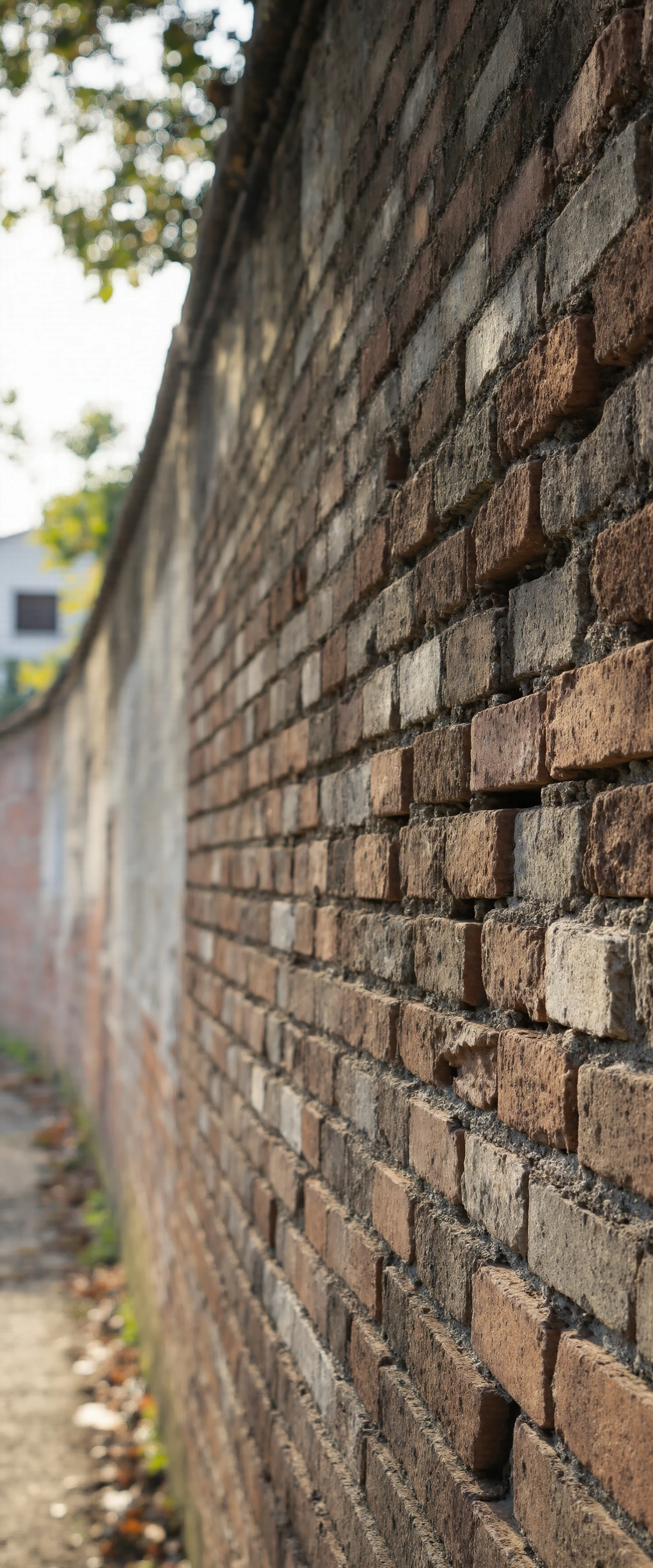 Weathered Brick Wall Perspective #41007