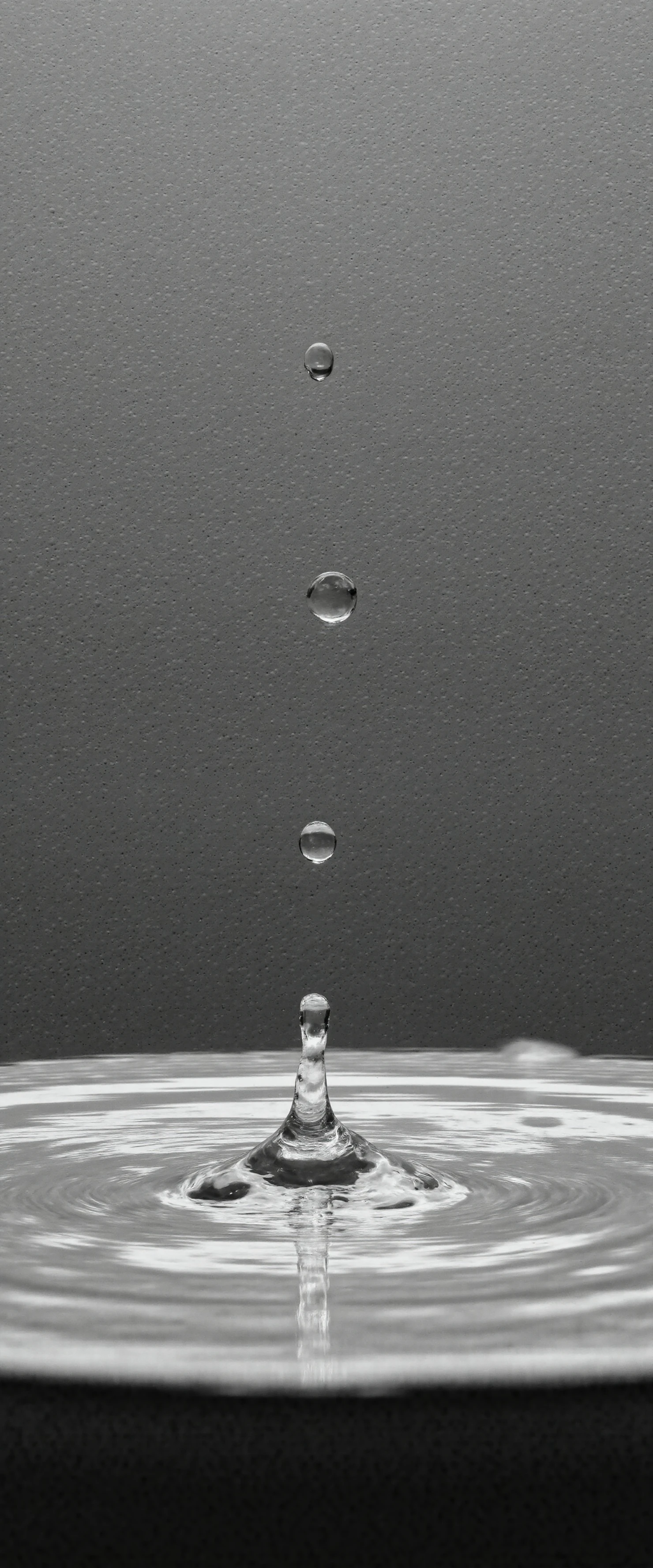 Dynamic Water Drops and Ripples in Monochrome #41013