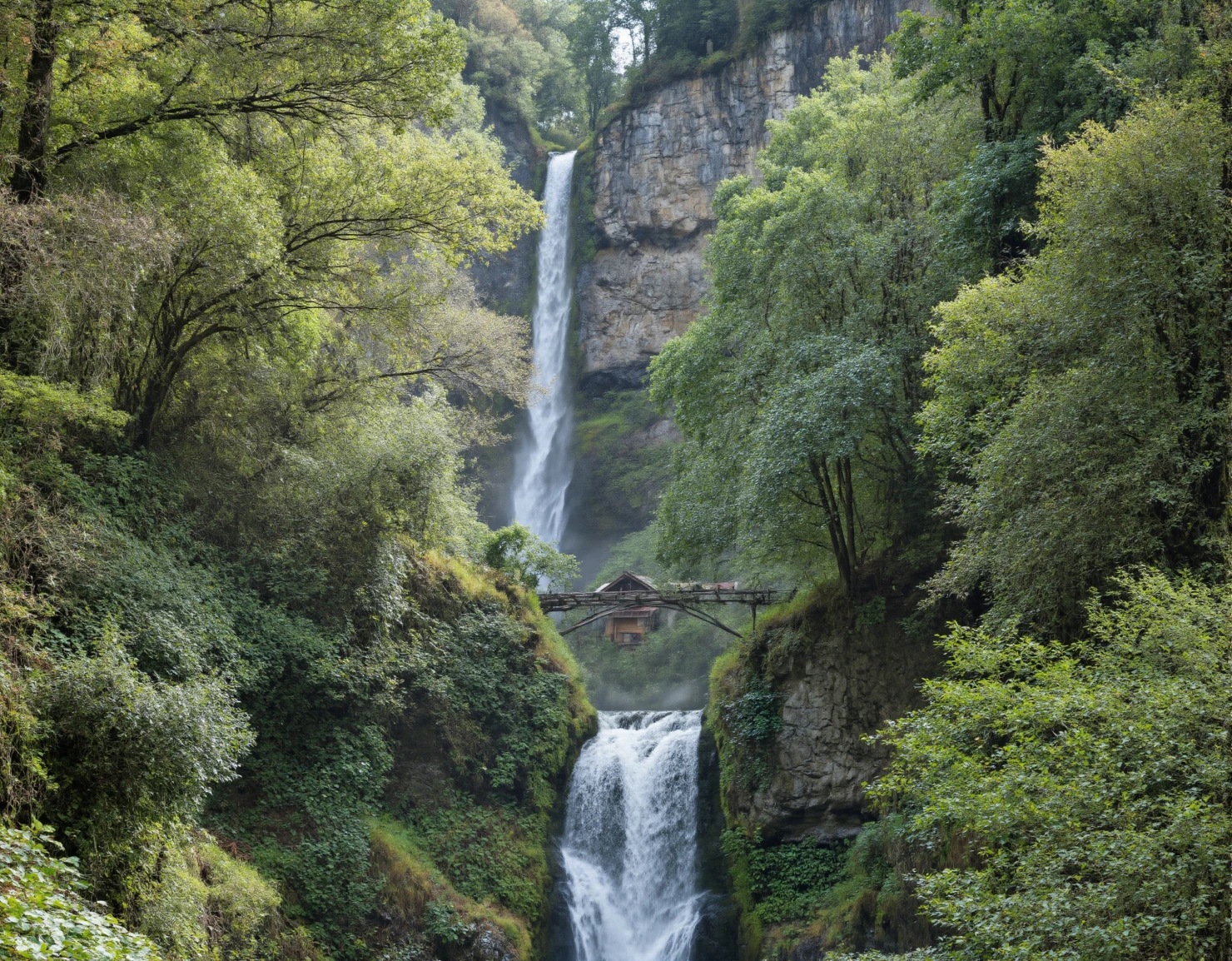 Majestic Multi-Tiered Waterfall in a Lush Green Forest Canyon #41042