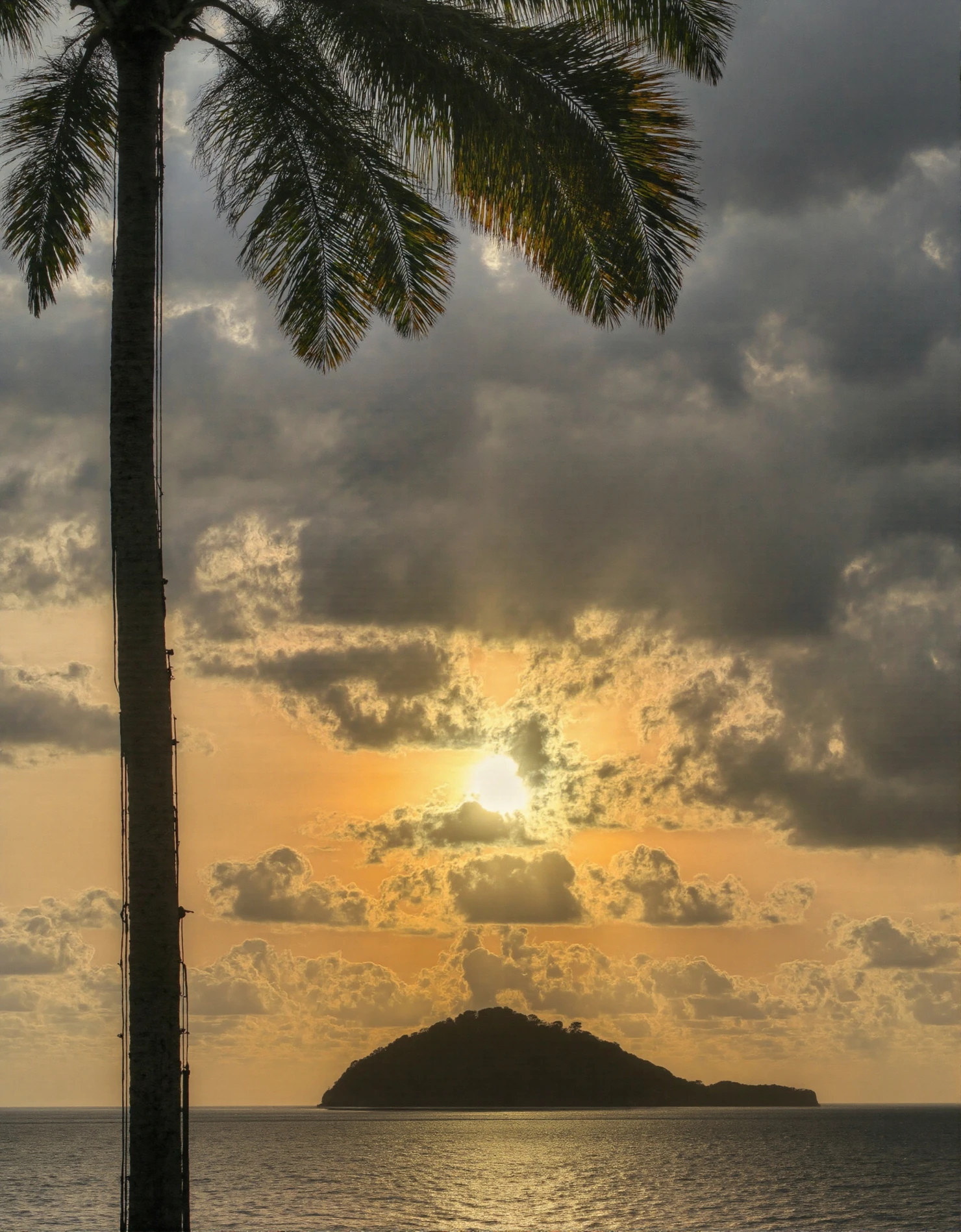 Tropical Sunset over Island with Palm Tree Silhouette #41049