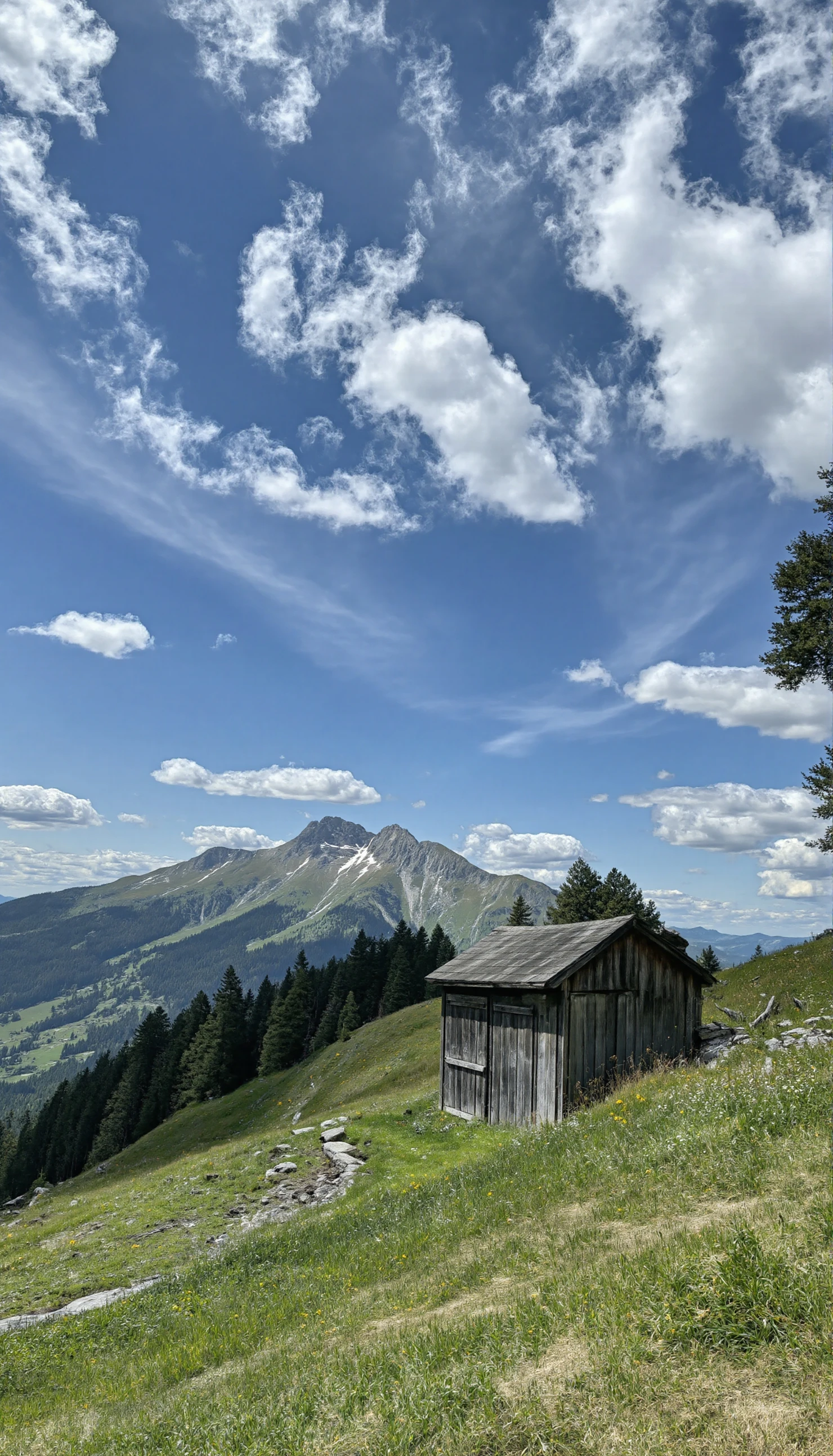 Rustic Mountain Hut Overlooking a Grand Alpine Vista #41062