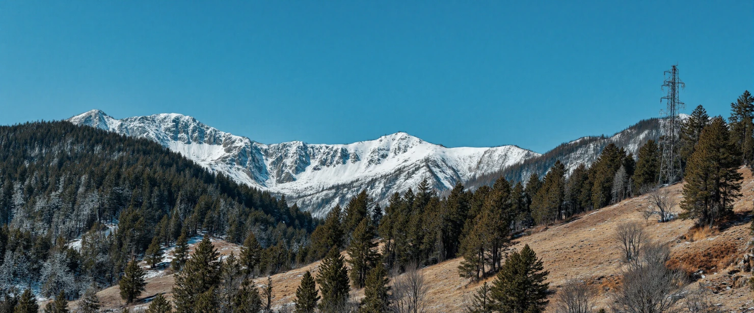 Panoramic View of Snowy Peaks and Forested Hills under a Clear Blue Sky #41068