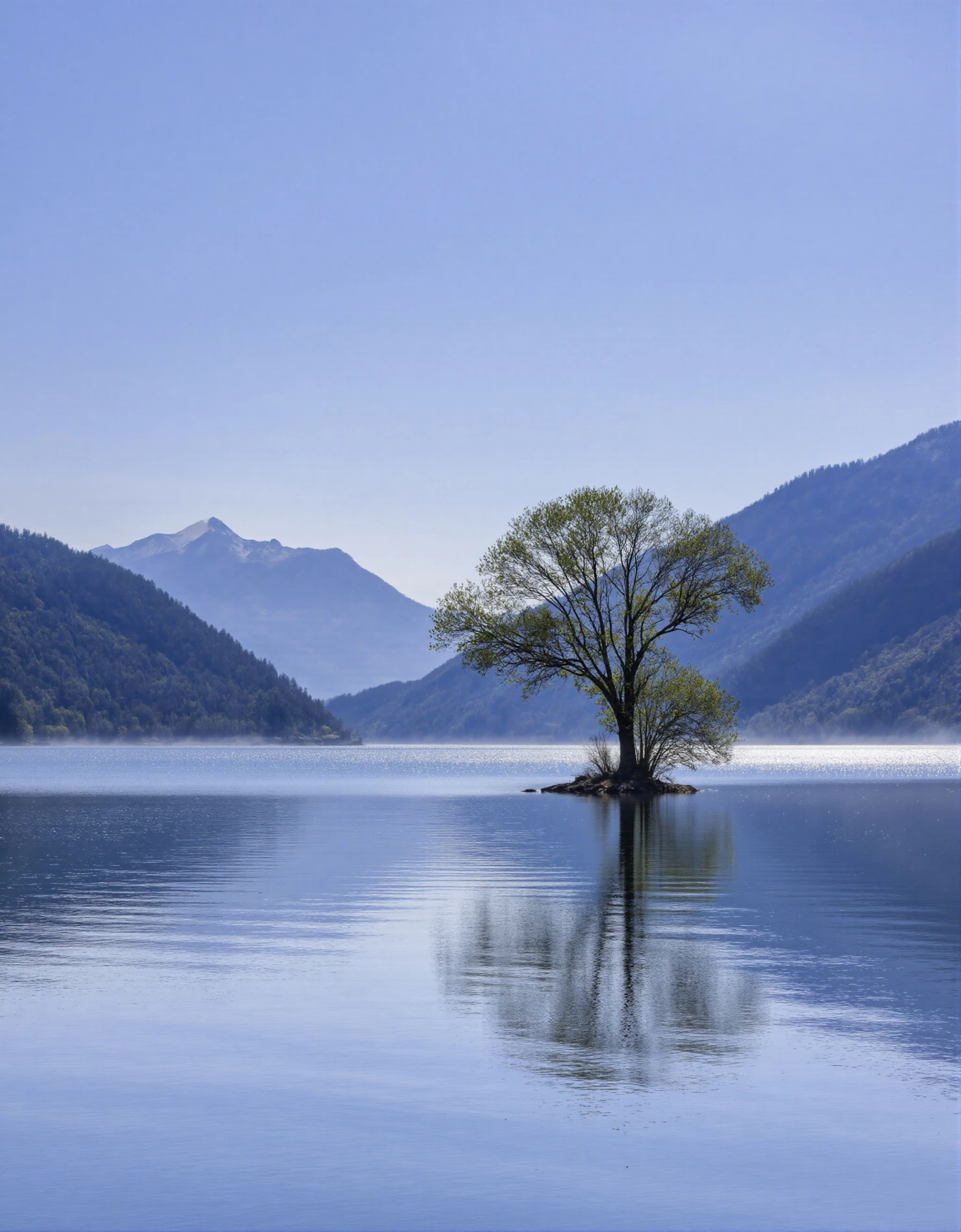 Serene Lake with Solitary Tree and Mountain Reflection #41098