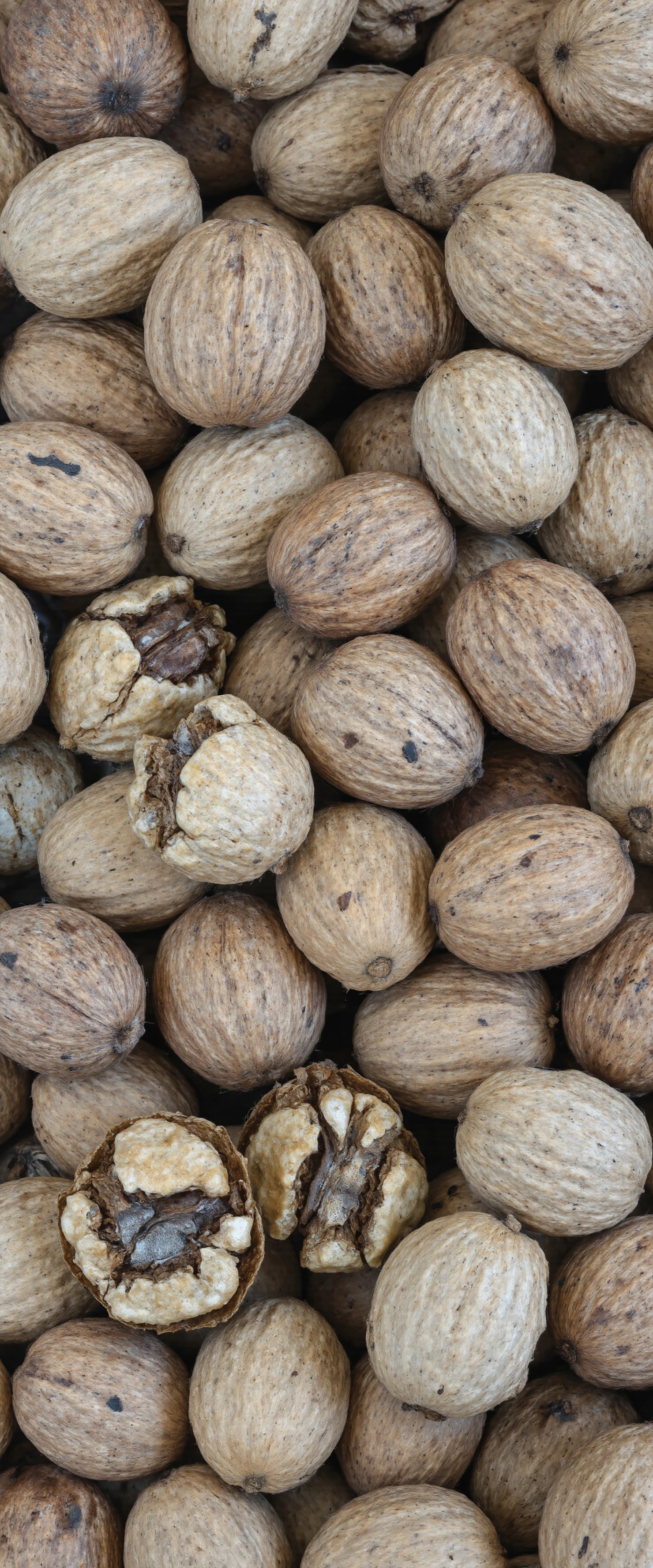 Pile of Whole and Cracked Walnuts #41140