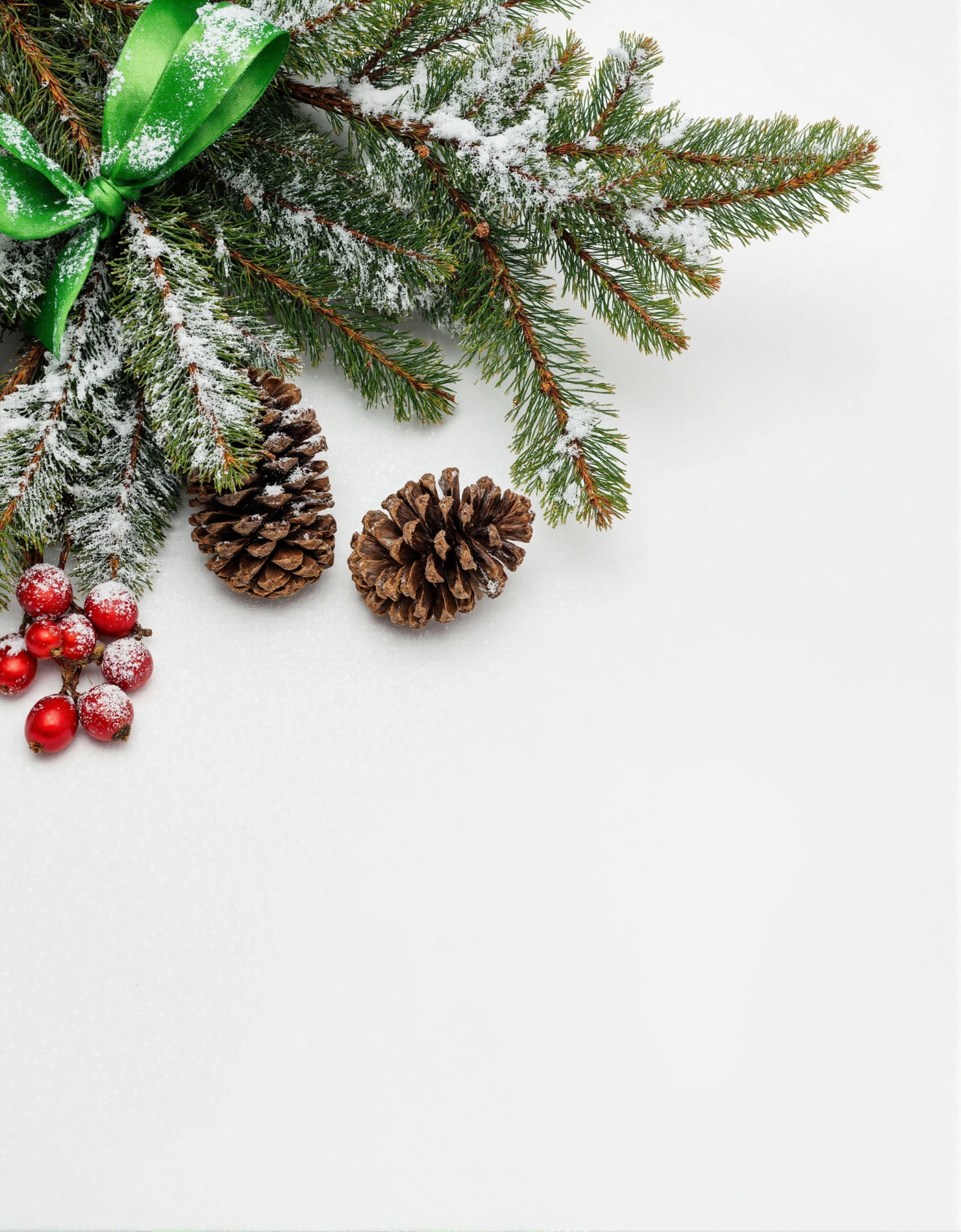 Snowy Fir Branches with Pine Cones and Red Berries for Christmas #41147