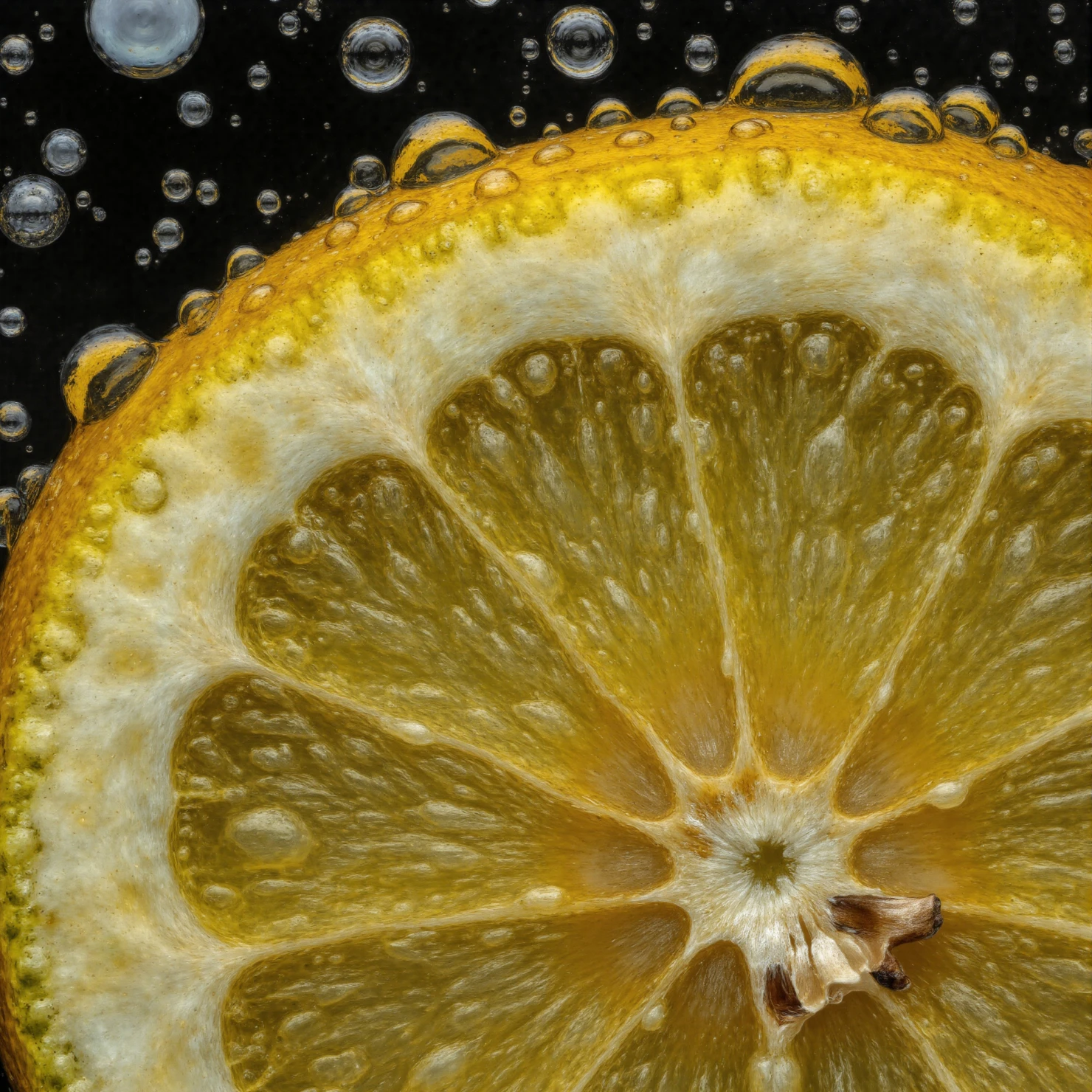 Vibrant Lemon Slice with Effervescent Bubbles #41151
