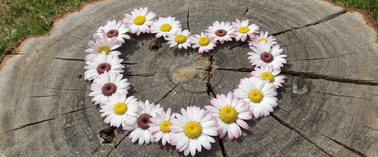 Floral Heart on Rustic Wood #41177