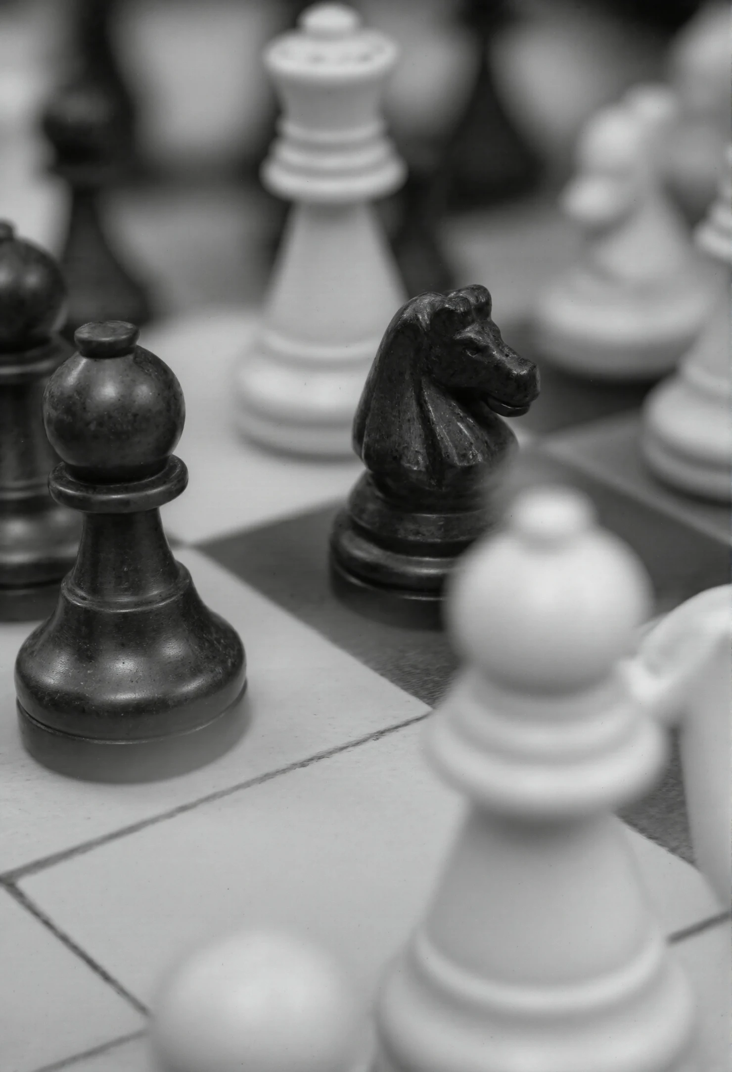 Monochrome Chess Game with Knight and Bishop #41197