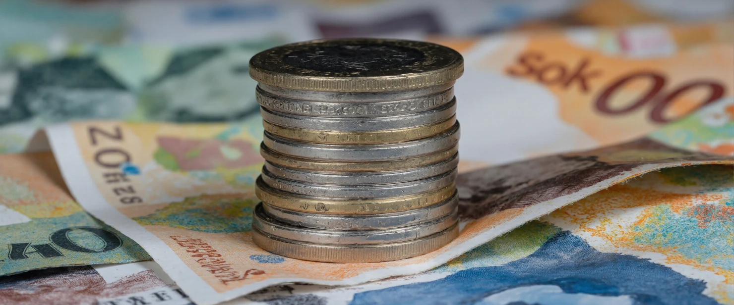 Stack of Coins on Polish Zloty Banknotes #41200