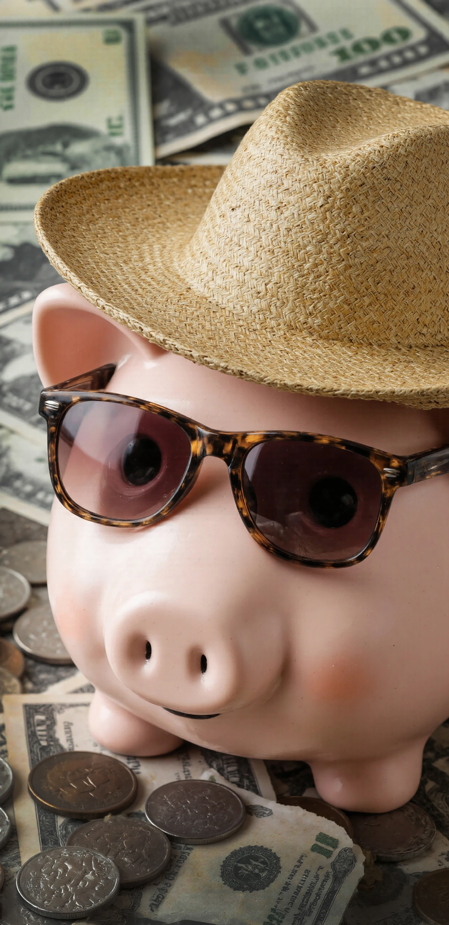 Stylish Piggy Bank in Hat and Sunglasses on a Bed of Money #41224
