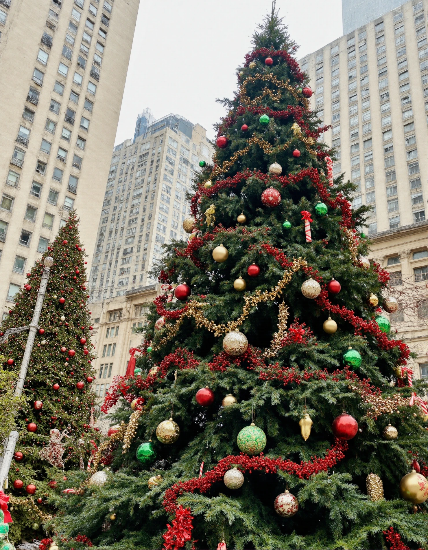 Festive Christmas Trees Adorned in a City Square #41369