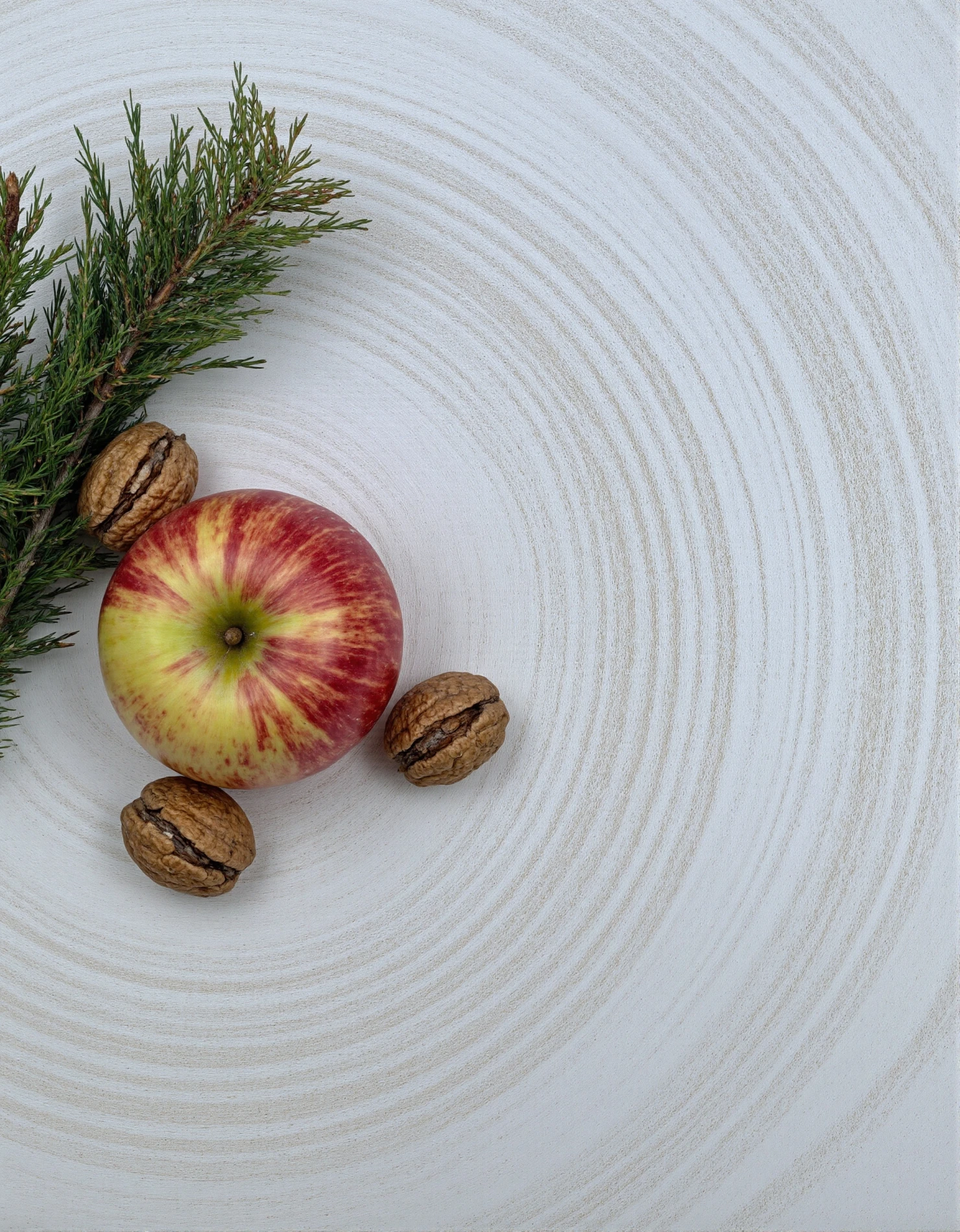 Fresh Apple and Walnuts with Evergreen Sprig #41383