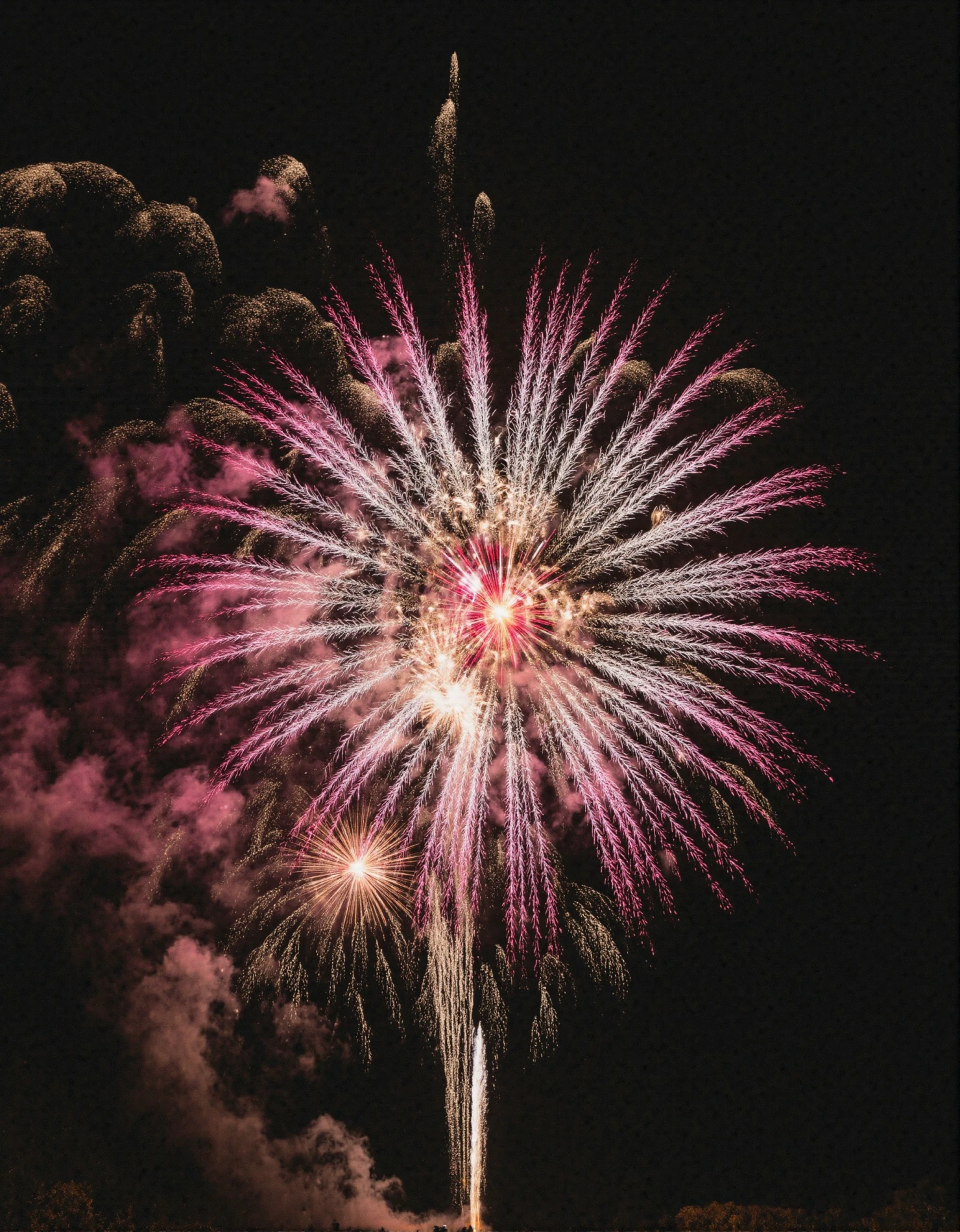 Midnight Bloom: A Spectacular Fireworks Burst #41425