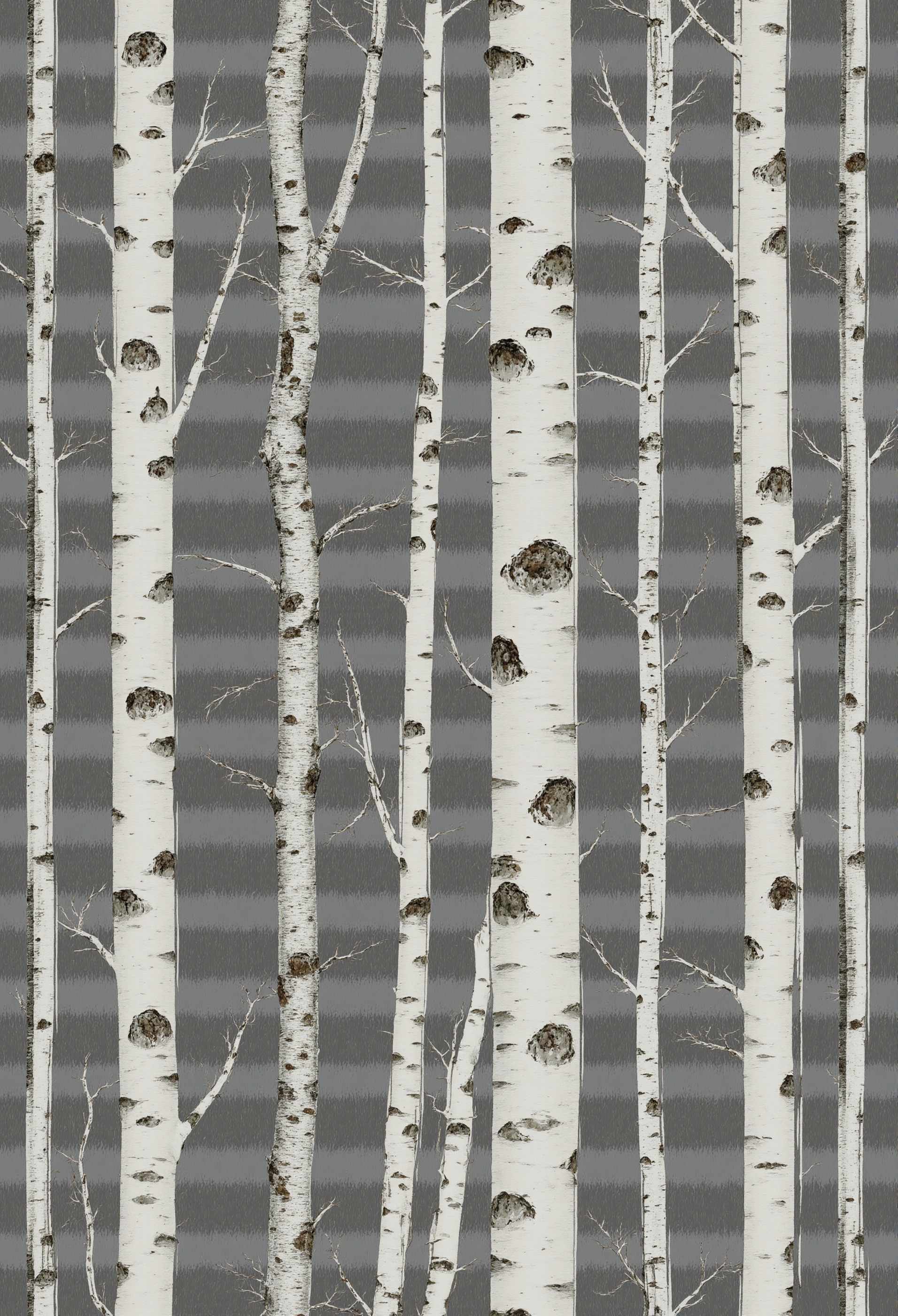 Minimalist Birch Tree Pattern on Textured Gray Background #41467
