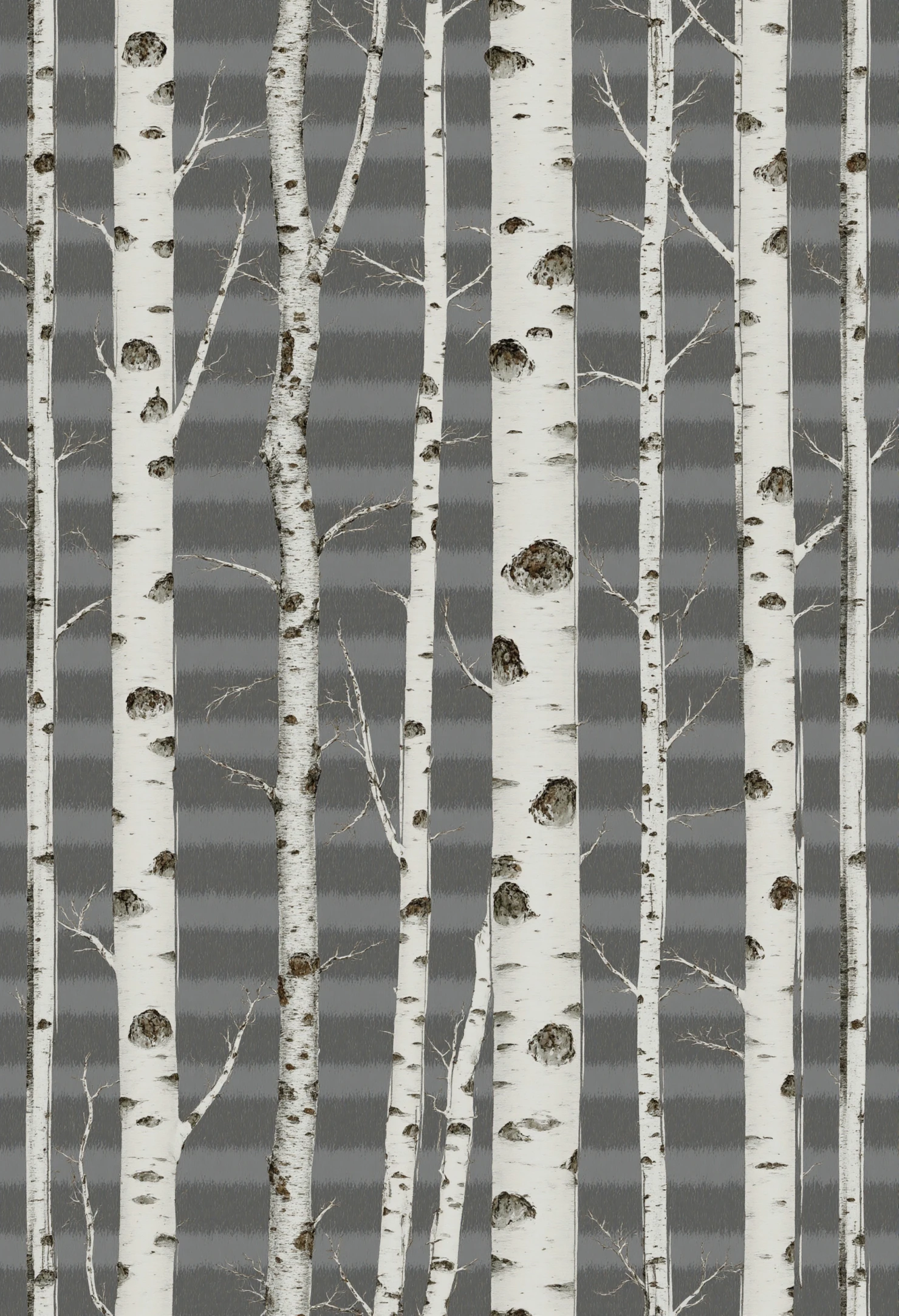 Minimalist Birch Tree Pattern on Textured Gray Background #41467