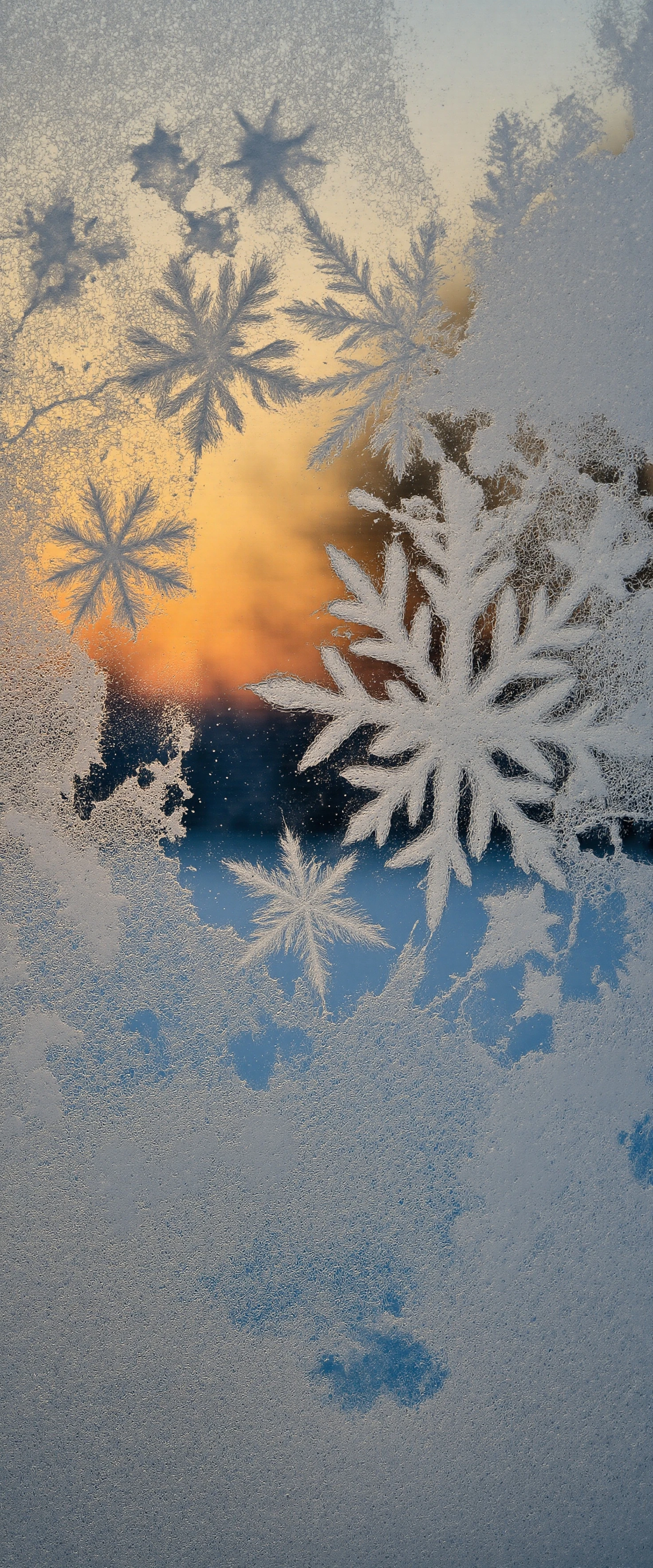 Intricate Frost Patterns and Snowflakes on Window Glass #41481